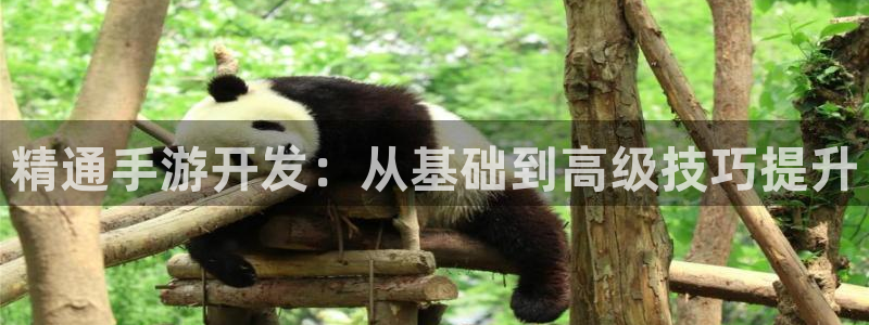安信娱乐下载：精通手游开发：从基础到高级技巧提升