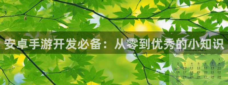 安信2娱乐：安卓手游开发必备：从零到优秀的小知识