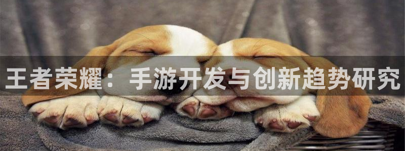 安信13娱乐：王者荣耀：手游开发与创新趋势研究