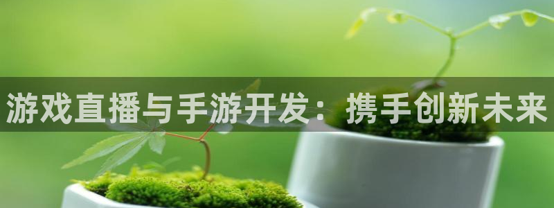 安信娱乐：游戏直播与手游开发：携手创新未来