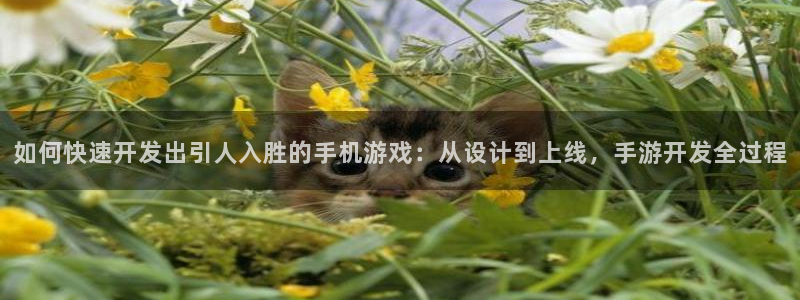 安信娱乐2：如何快速开发出引人入胜的手机游戏：从设计到上线，