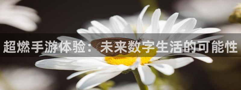 安信娱乐怎么注册：超燃手游体验：未来数字生活的可能性