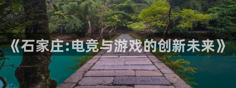 安信娱乐：《石家庄:电竞与游戏的创新未来》