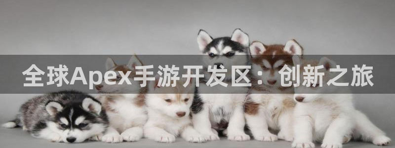 安信娱乐2负责人：全球Apex手游开发区：创新之旅