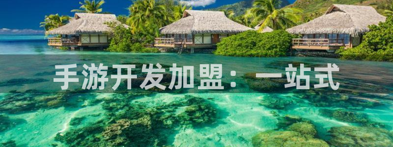 安信13娱乐官网入口：手游开发加盟：一站式