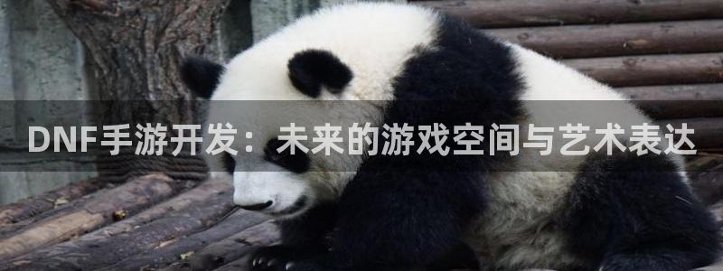 安信13娱乐注册：DNF手游开发：未来的游戏空间与艺术表达