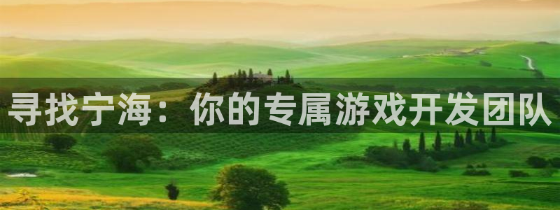 安信娱乐怎么注册：寻找宁海：你的专属游戏开发团队