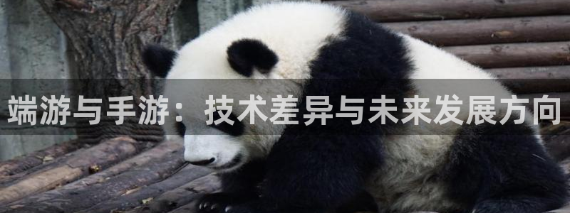 安信14娱乐：端游与手游：技术差异与未来发展方向