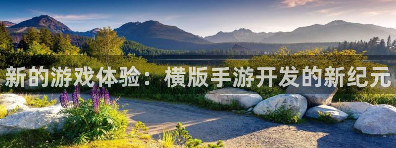 安信娱乐下载：新的游戏体验：横版手游开发的新纪元