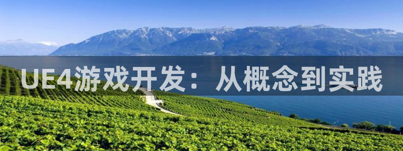 安信13娱乐官网入口：UE4游戏开发：从概念到实践