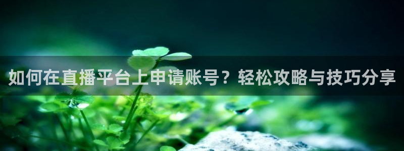 cba柠檬直播：如何在直播平台上申请账号？轻松攻略与技巧分享